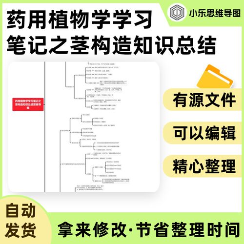 药用植物学学习笔记之茎构造知识总结思维导图Xmind笔记制作电子