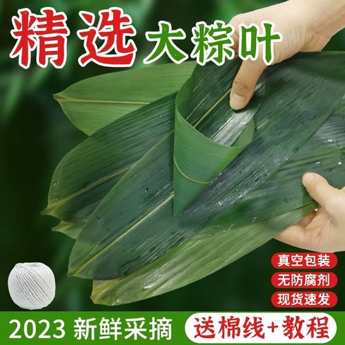 纯天然大码棕叶包粽子