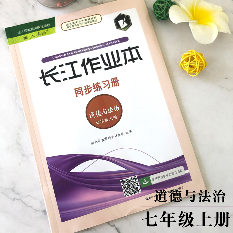 长江作业本同步练习册道德与法治七年级上册 2023年8月版 内附答案 部编人教版7年级课本上册同步练习册  湖北教育出版社 书籍/杂志/报纸 中学教辅 原图主图