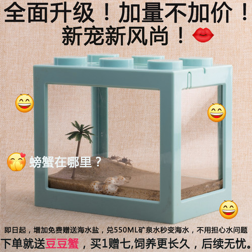 迷你豆豆系小喂食生态儿童礼物蟹