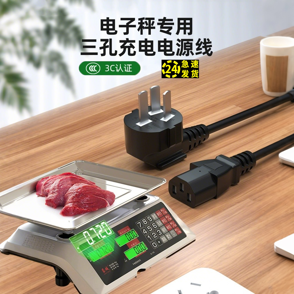 电子秤充电器250V10A三脚插头