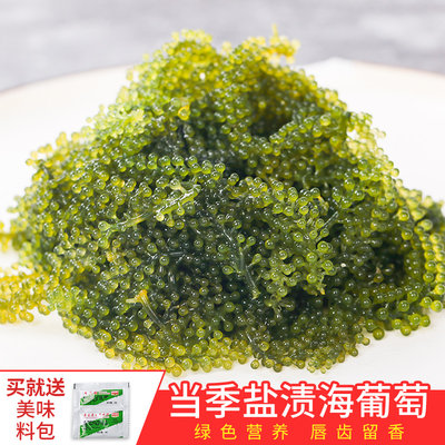 盐渍海葡萄新鲜即食长寿菜海藻菜海草寿司鱼子酱100g包邮