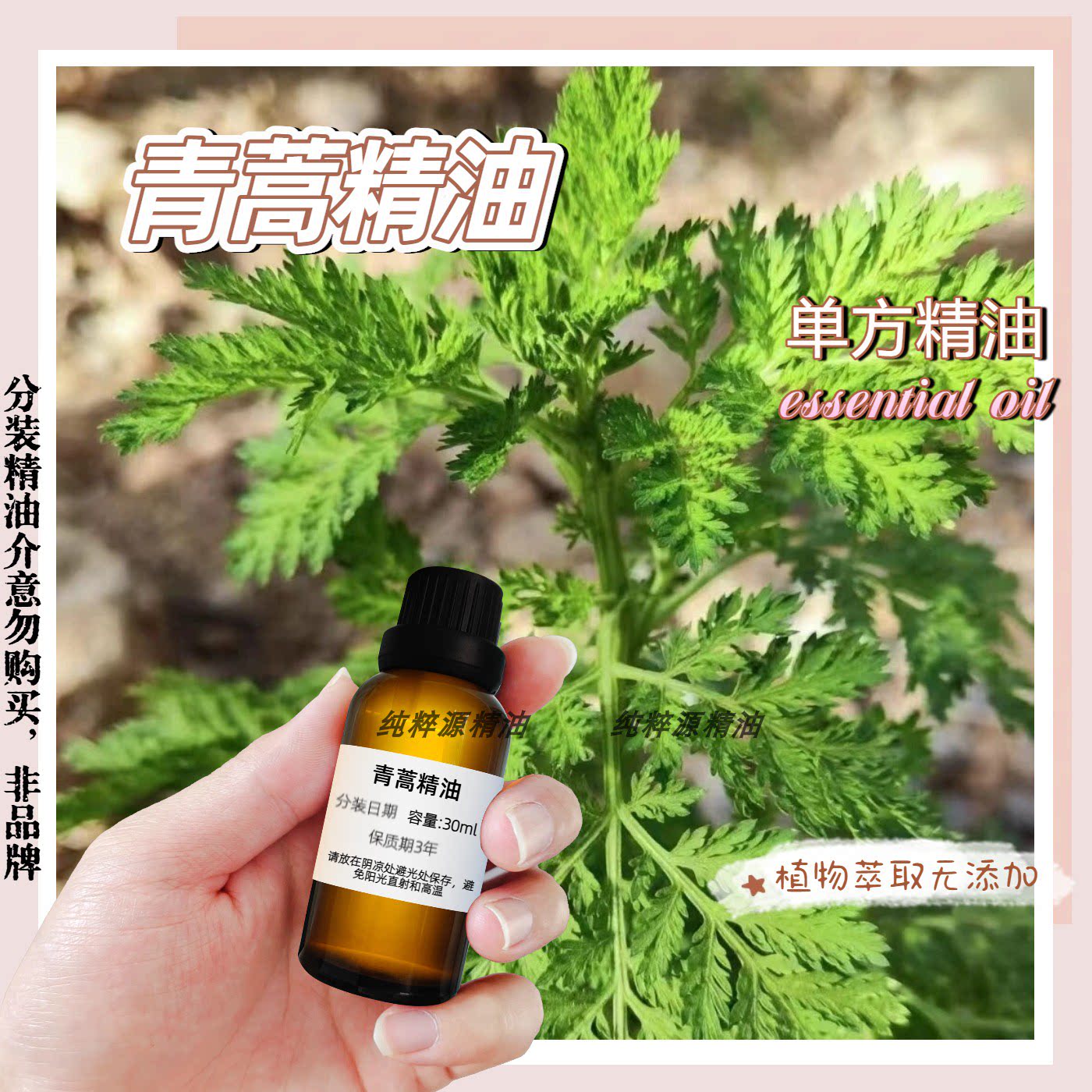 青蒿精油按摩控油收缩毛孔
