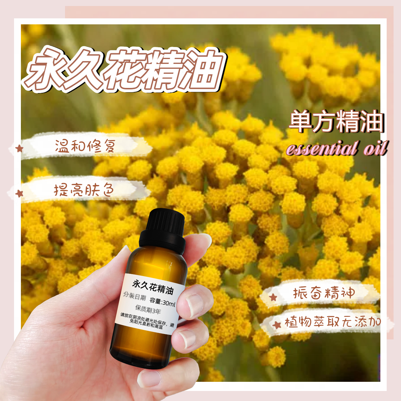 意大利永久花精油單方去粉刺