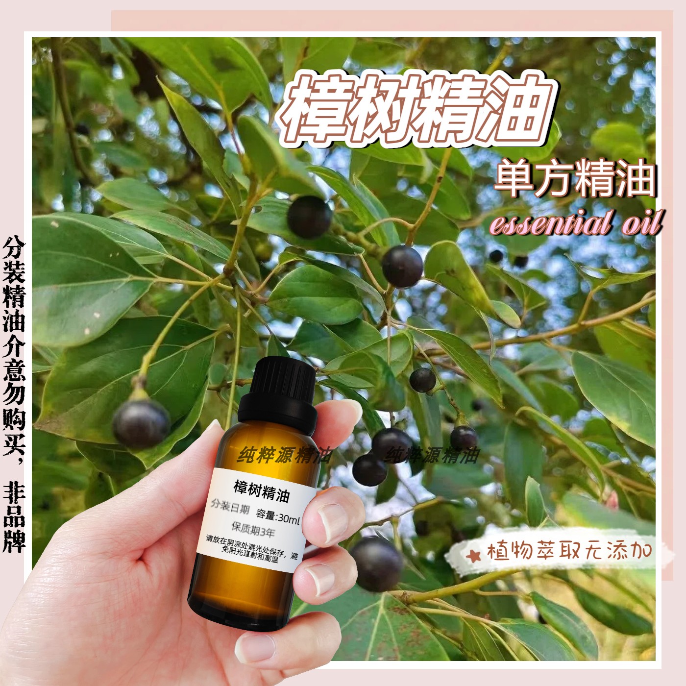 天然香樟精油香樟木驱虫驱蚊驱蟑螂驱蚂蚁木制家具防虫蛀净化空气