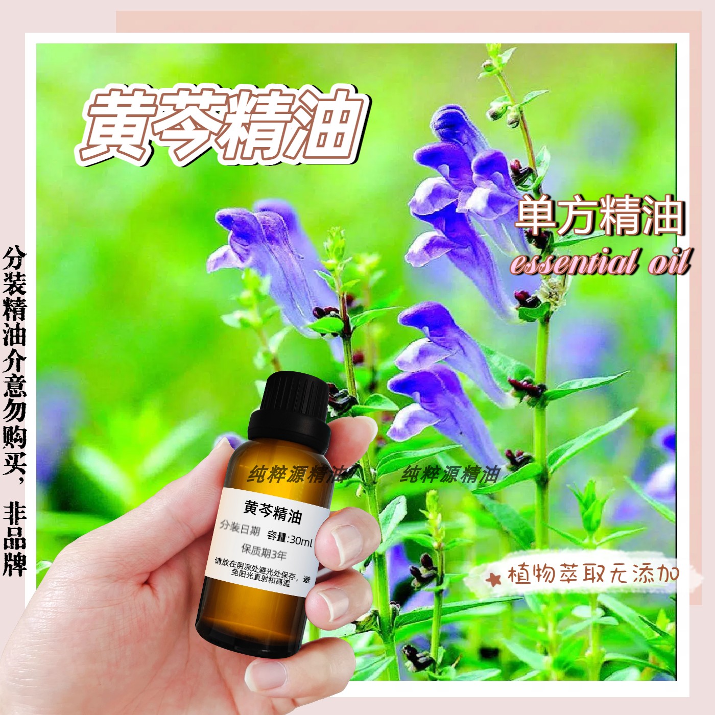 纯植物黄芩精油单方按摩精油