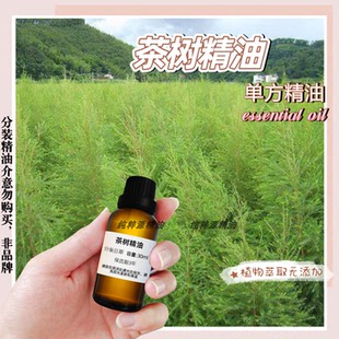 茶树精油按摩安神滋养香薰单方去痘护发精华清螨