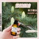 雪松精油单方防蚊驱虫护发嫩肤舒缓油性肌肤净化空气香薰安眠抗皱