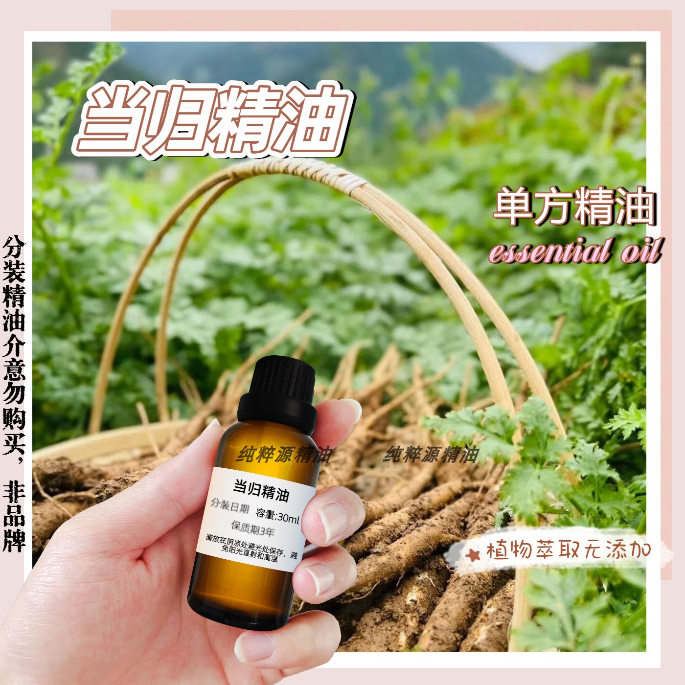 当归单方精油提亮肌肤舒缓疲惫