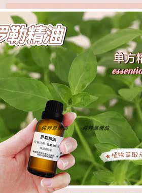 罗勒精油纯植物单方精油