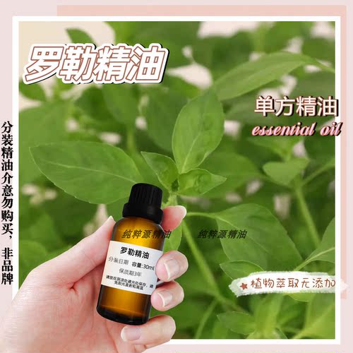 罗勒精油纯植物单方精油