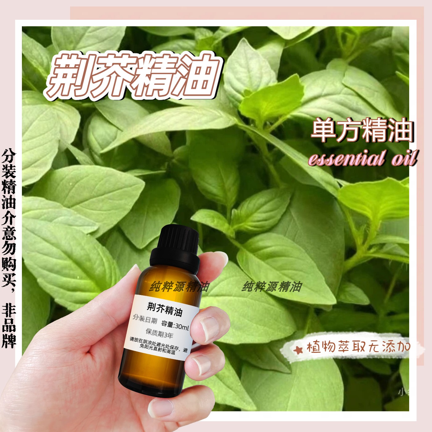 有机荆芥精油别名猫薄荷香荆芥油单方驱蚊虫家居宠物驱虫精油