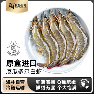 海朴白虾盐冻南美白虾2030原箱发货1.65KG海虾大虾R