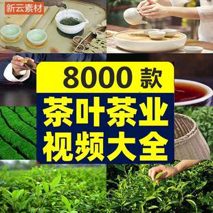 茶叶茶业短影片素材茶道图片文案脚本抖音直播话术知识文化泡倒茶