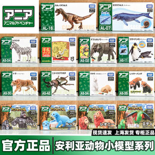 多美卡安利亚霸王龙迅猛龙可动仿真侏罗纪恐龙模型野生动物玩具