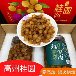 高州桂圆肉250g*2罐装礼盒装过节送礼无核无壳原味饱满龙眼肉干货