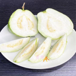 茂名化州番石榴 芭乐白心维生素c 现摘现发低糖新鲜水果 甜脆清香