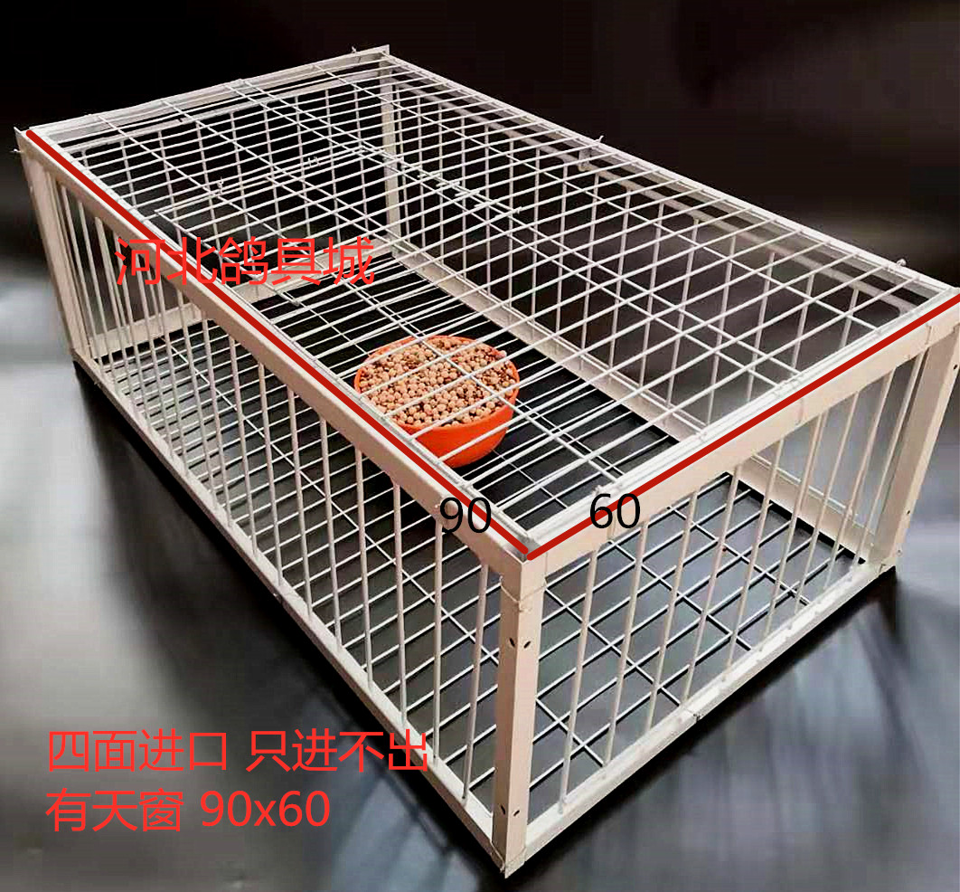 鸽子撞门信鸽用品拼装鸽子笼只进不出全自动活络条撞门笼只进不出