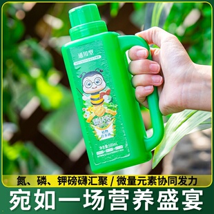 大树生根液枯树再生复活液树木移栽壮苗剂植物通用型营养液激活液