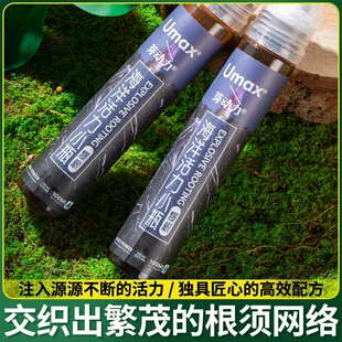 富贵竹专用营养液水培植物治黄叶促生根观音竹家用盆栽通用肥料保