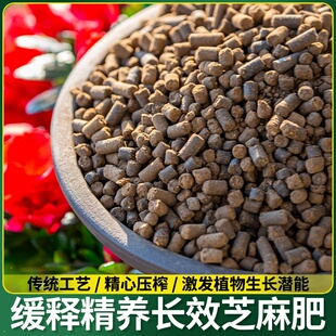 发酵腐熟饼肥芝麻渣豆饼肥饼肥麻酱渣香油渣花卉蔬菜用花油饼肥料