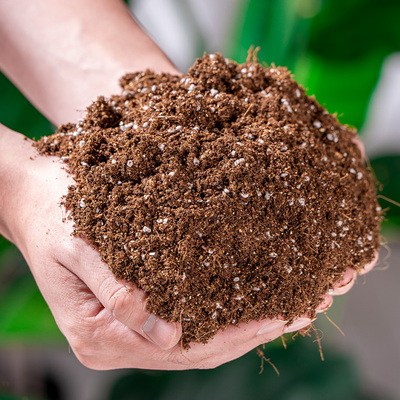 营养土养花通用专用蓝莓球根月季土盆栽种植泥炭土花土栽培基质