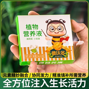 富贵竹专用营养液治叶子发黄转运竹节节高文昌竹水竹水培植物生根