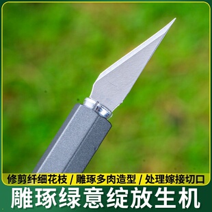 多肉植物砍头刀嫁接刀扦插多肉工具十二卷分株专用水仙雕刻刀园艺