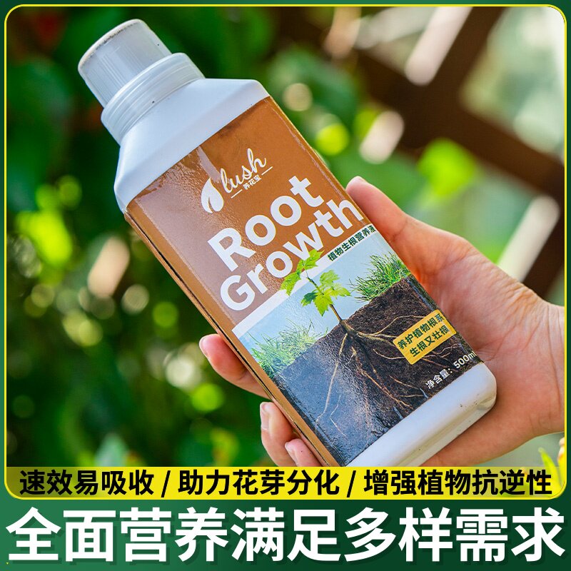 天南星科彩叶芋专用营养液龟背竹海芋花肥观叶植物盆栽肥料营养液
