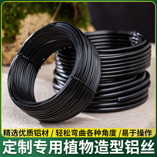 金枝玉叶造型铝丝铁丝盆景专用园艺蟠扎支架铝条罗汉松工具定型