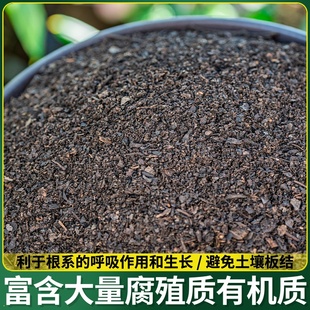 真正东北橡树叶营养土松叶腐殖土腐叶兰花君子兰专用橡叶种植酸性