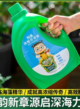 海藻球营养液球藻微景观生态瓶水培植物家用通用清洁肥料用品防枯
