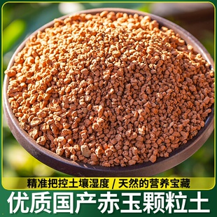 颗粒土金松颗粒金松土赤玉土铺面种植多肉铺面拌土盆景植物营养土