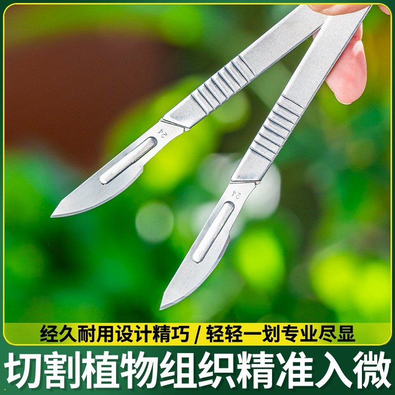 多肉砍头刀嫁接刀芽接刀工具雕刻月季蟹爪兰嫁接十二卷嫁接专用刀