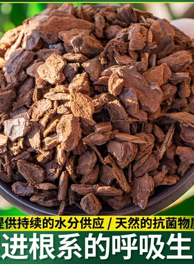 兰花植料新西兰奥科特Orchiata进口松树皮栽培专用基质透气保湿松