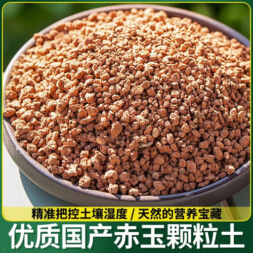 海岛春花专用土赤玉土风化土风化石颗粒土酸性土风化砂专用肥玉土