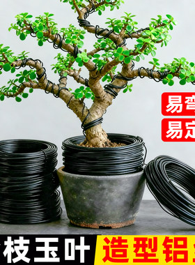 盆景拉枝定型器金枝玉叶造型专用铝丝蟠扎园艺软铁线花卉定型铝丝