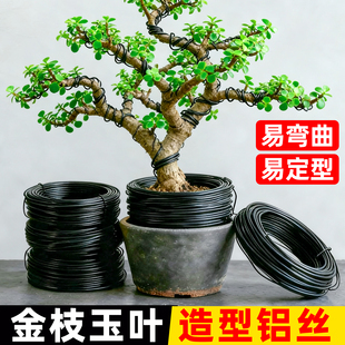 盆景拉枝定型器金枝玉叶造型专用铝丝蟠扎园艺软铁线花卉定型铝丝