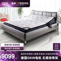 德國路福電動遙控智能床墊乳膠多功能升降會動的床墊HJ20W-LM