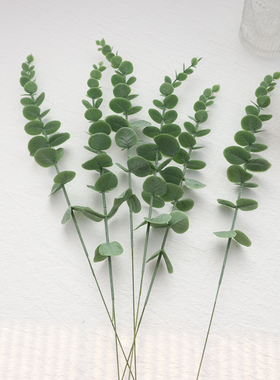 ins北欧风小清新仿真尤加利金钱叶枝仿真绿植假花摆设装饰花摆件