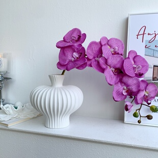 高级感逼真蝴蝶兰仿真花兰花假花插花新年装 饰品干花花束摆设摆件