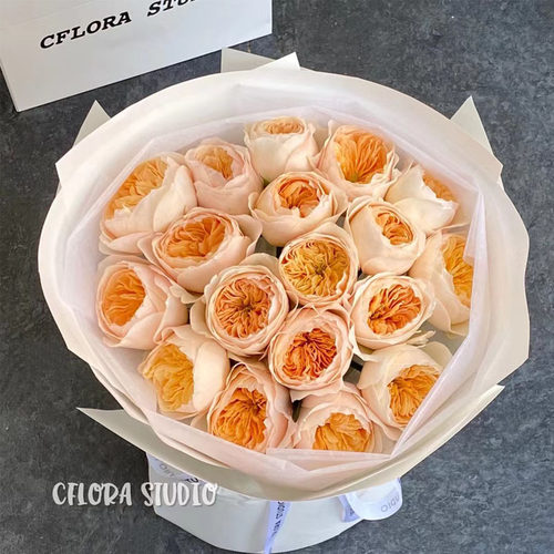 奥斯汀朱丽叶玫瑰花束求婚鲜花