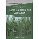 鲁剑巍 中国农业出版 现货 农业基础科学 社 农业 农业技术 小麦常见缺素症状图谱及矫正技术 工业 9787109184022 等