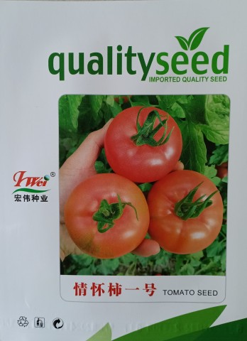 宏伟大果口感番茄种子情怀柿一号口感好沙瓤面果肉厚果蔬两用番茄