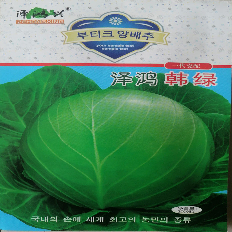 泽鸿韩绿大田大面积早春种植甘蓝种子不裂球中早熟松球黄芯水果型