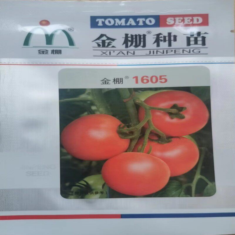 金棚1605粉红番茄无线生长越冬早春栽培果实膨大快果肉厚口感好