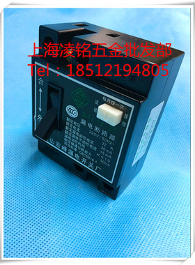 家用漏电保护器 BLFL18-20  32A 漏电开关  DZL18-20