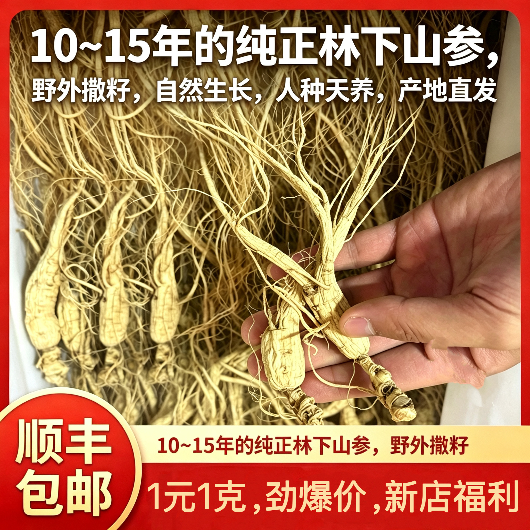正宗纯正林下山参长白山人参残参干货药材泡酒煲汤煮水送长辈专用