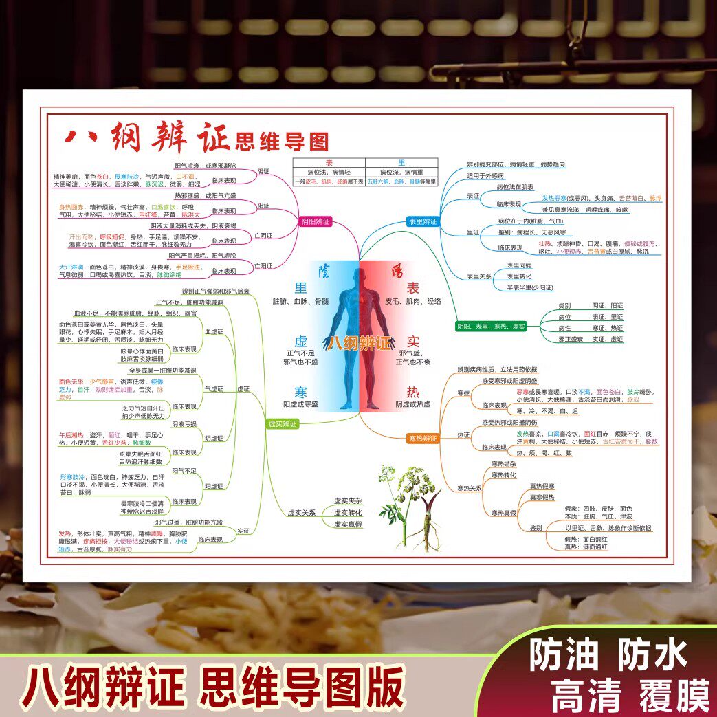 中医六经辨证八纲辨证学习卡片图片