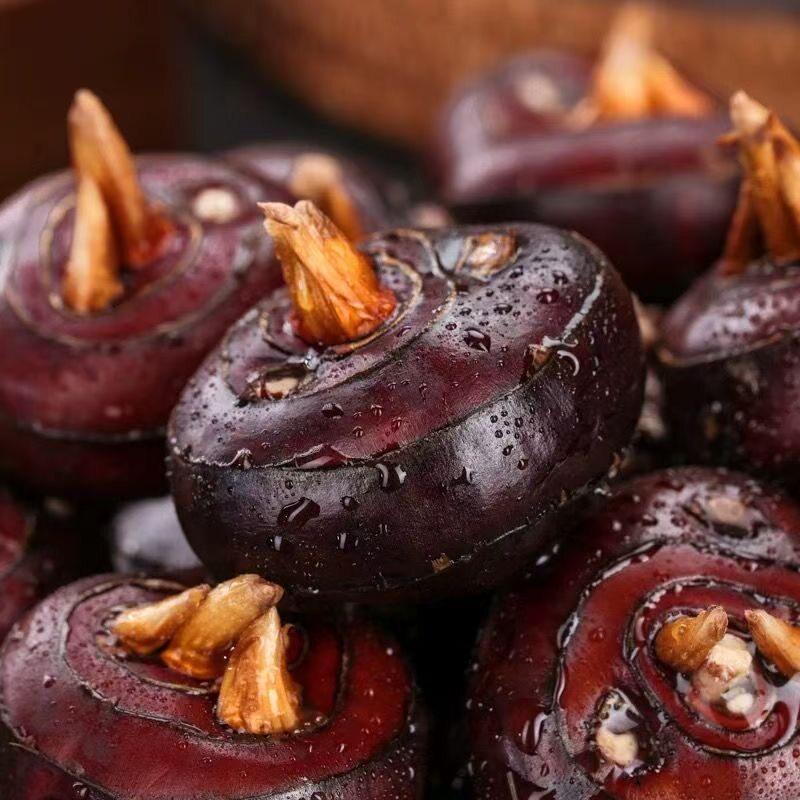 马蹄正宗新鲜马蹄超甜大果马蹄荸荠带皮新鲜地栗当季农家蔬菜即食